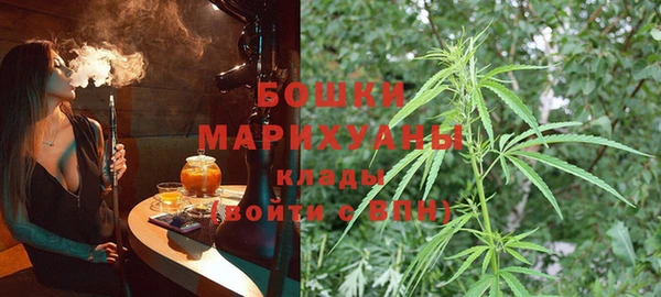 гашик Заволжье