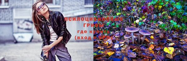 гашик Заволжье