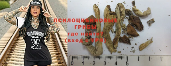 ECSTASY Заводоуковск