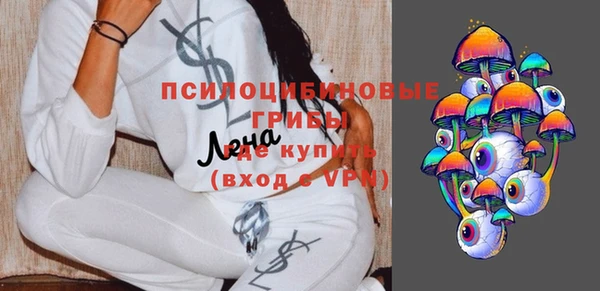 гашик Заволжье