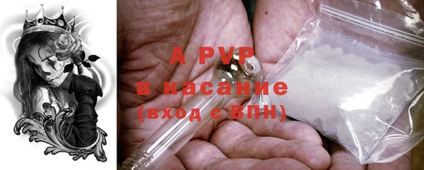 ECSTASY Заводоуковск
