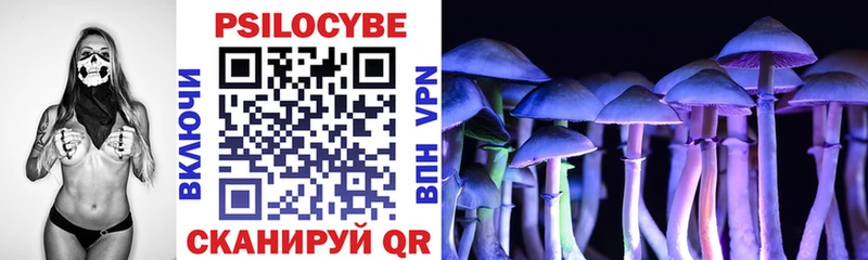 Купить закладки Майкоп Псилоцибиновые грибы ЛСД