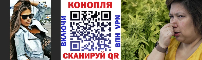 Бошки марихуана тримм  Купить  Майкоп 
